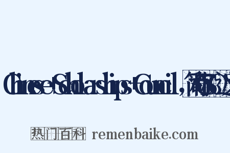 Chinese+Scholarships+Council，简称CSC近义词是什么意思的图片